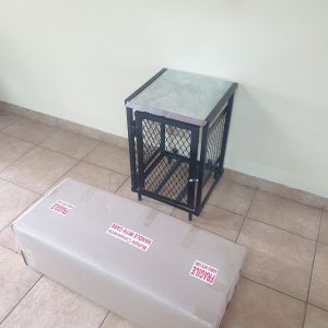 Single 9kg cylinder cage flat pack easy to assemble lockable wall mounted rustproof paint galvanized roof muti directional entrance for piping ships anywhere sturdy bottles off the ground design